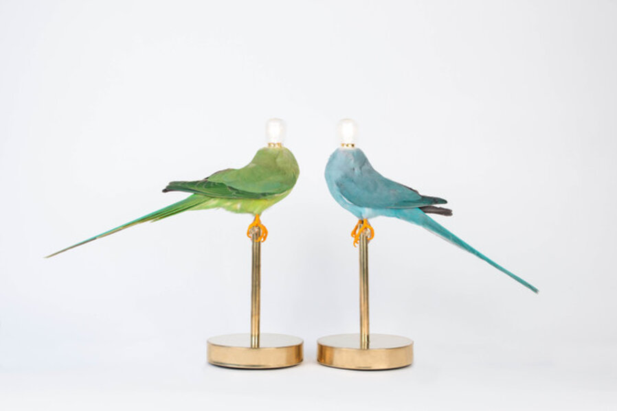 Single Perch Lamp