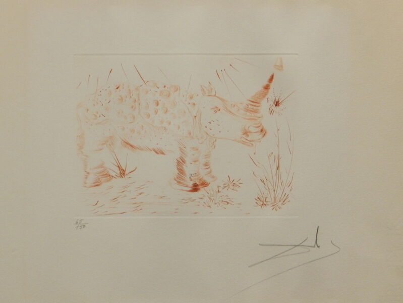 Salvador Dalí, ‘Album Rhinoceros’, 1968, Print, Etching, Fine Art Acquisitions Dali 