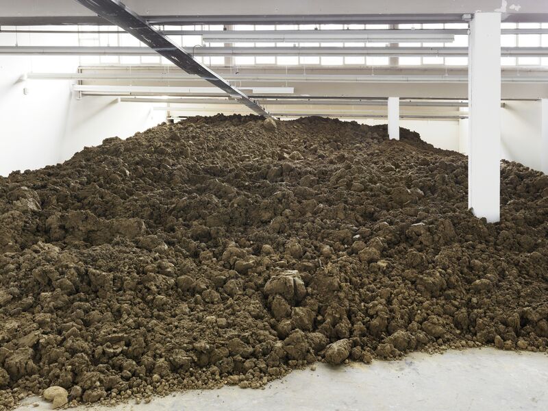 Lara Almarcegui, ‘Excavation from Basel’, 2015, Installation, Kunsthaus Baselland