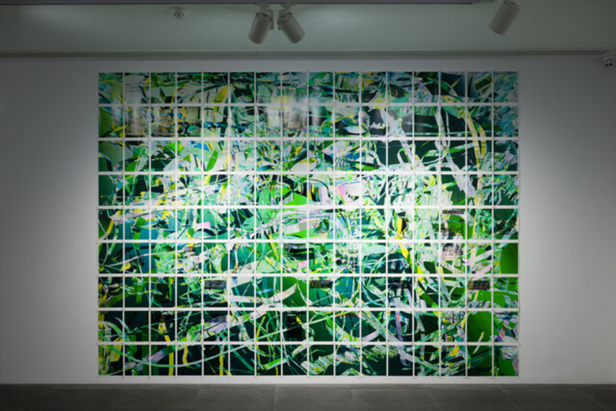 Suspension (O1 Visa and Censored Exhibition)