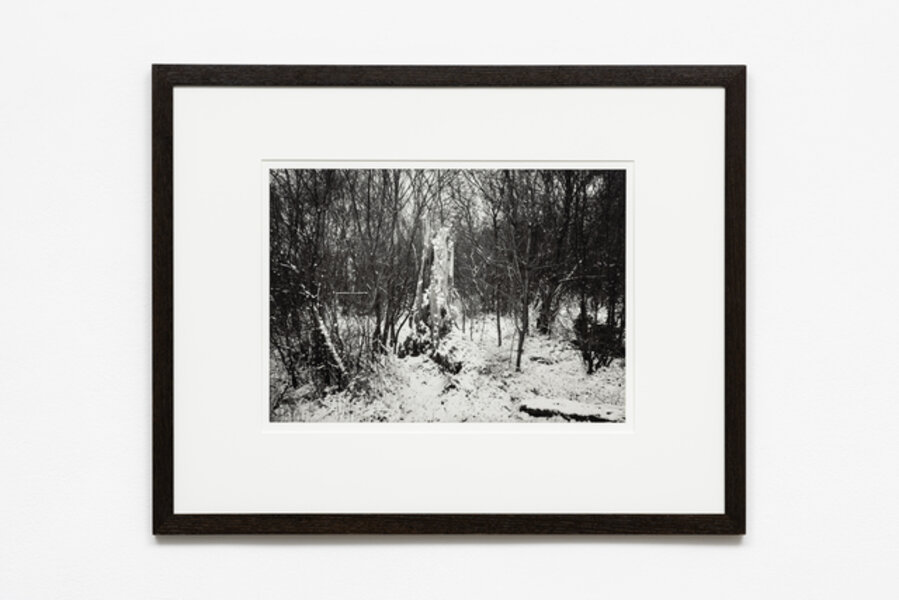 Premonitional Work, Winter into Spring, Glasgow, Scotland