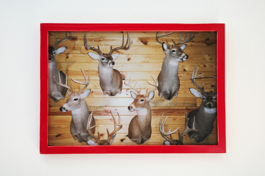Buncha Bucks