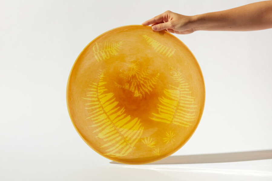 Studio Fossil (Headlands)