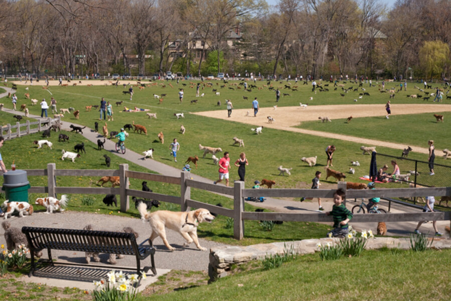 Amory Park