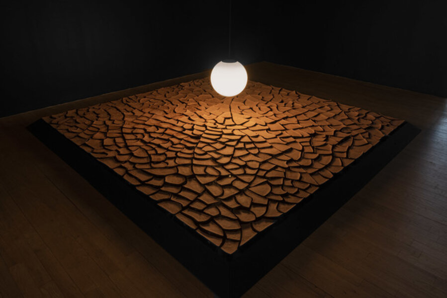Cracked Mud