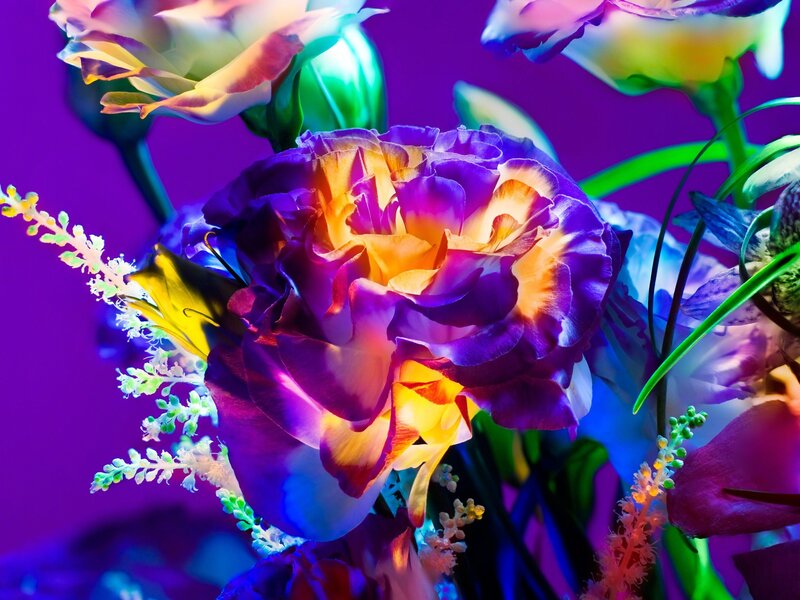 Torkil Gudnason, ‘Electric Blossom #282’, 2012, Photography, Archival Pigment Print, Fahey/Klein Gallery