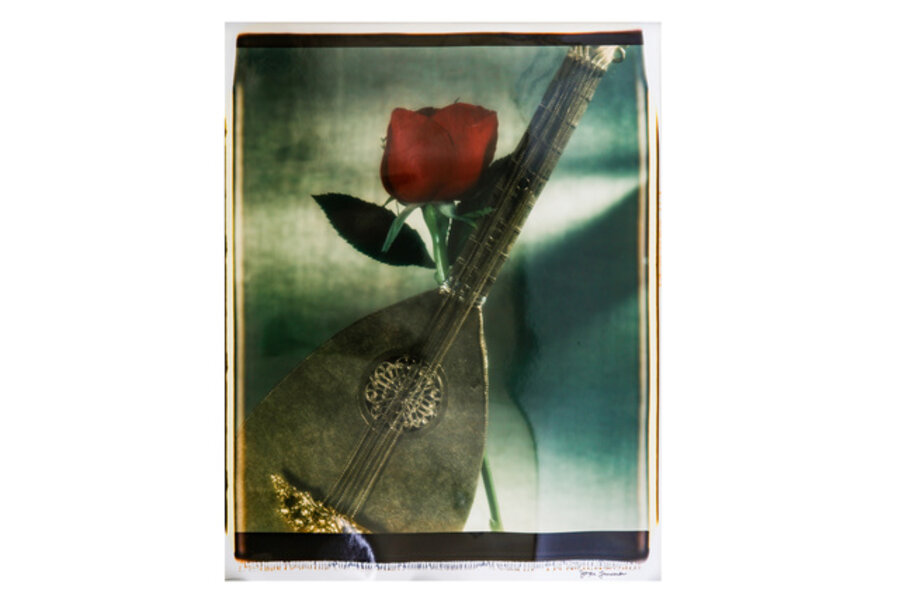 Untitled Still Lifes