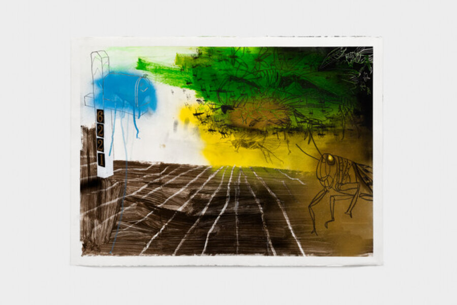 Untitled "In 1985 6221 Osage Ave was hit by a plague of biblical proportion"