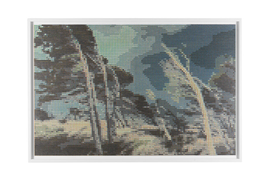 Digital Canopy 1