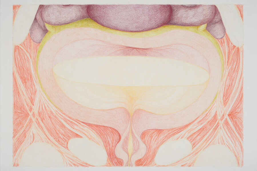 Bladder