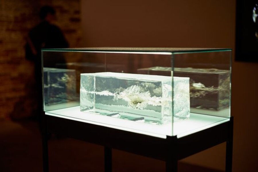 The AK-47 vs the M16 (Installation view)