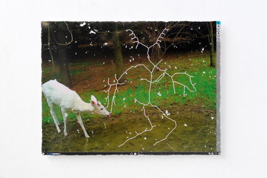 Earthware (albino deer), in collaboration with PWR
