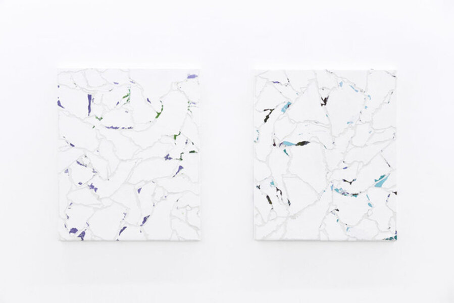 Modern Paintings No. B52a-b (fili d’erba e fiori, Manchester, Luglio 2012)