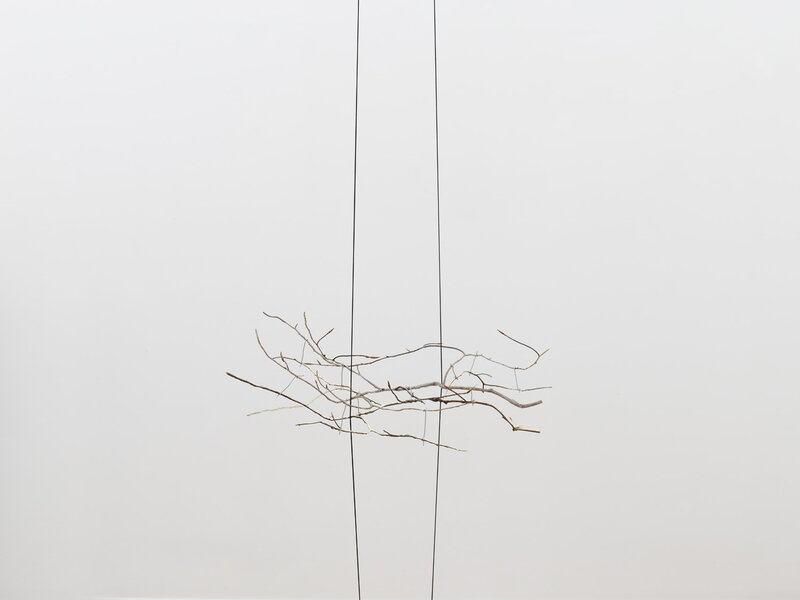 Daniel Steegmann Mangrané, ‘Geometric Nature / Biology’, 2021, Other, Split Beech branch and elastic cord, Mendes Wood DM