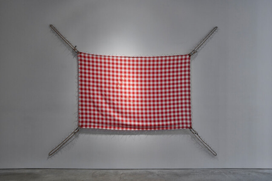 The Flag