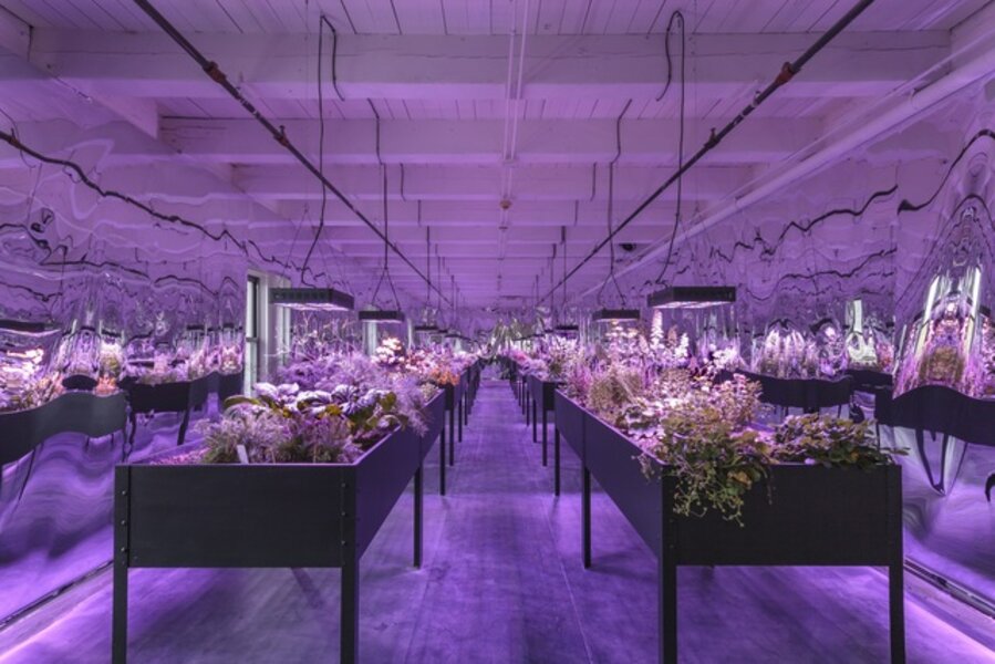 Solar Grow Room