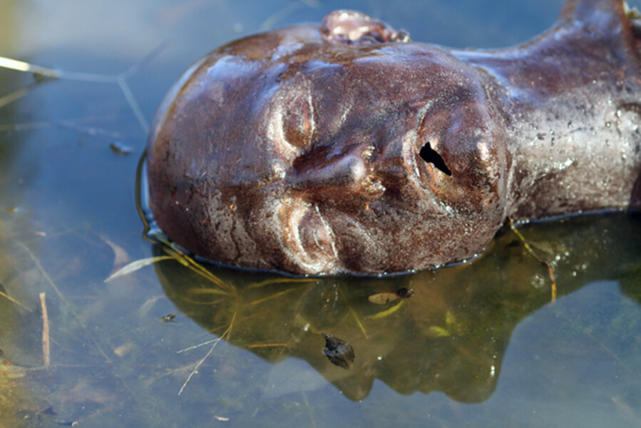 Brown Head in Water