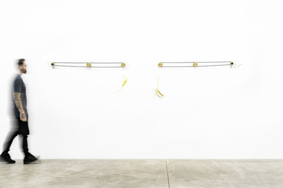 Twins galho, from Maquinamata series