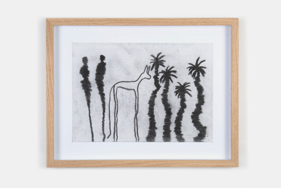 A palm tree in one part
