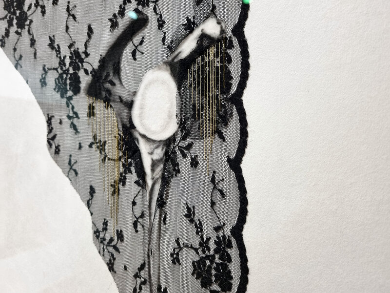 Romina Rivero, ‘Anatomía de las luciérnagas’, 2021, Drawing, Collage or other Work on Paper, "Awagami Kozo" paper, woven, natural silk, graphite and metallic thread, Galería Artizar