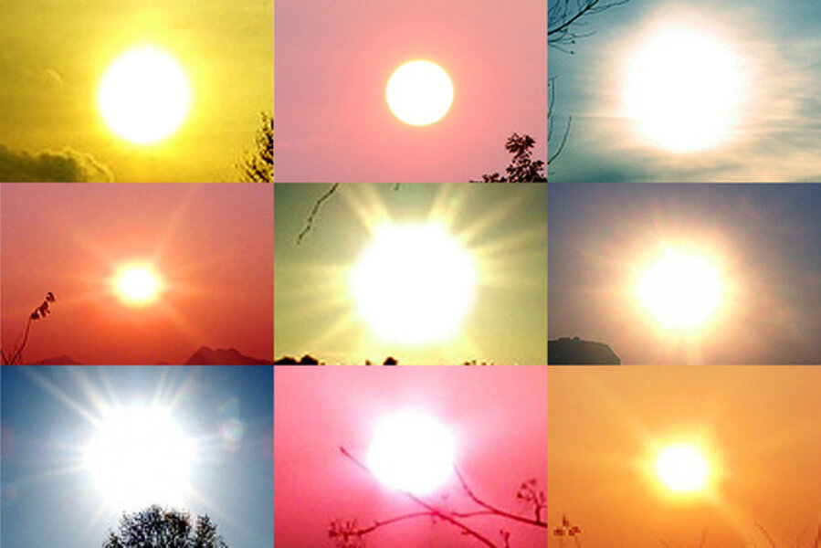 Suns from Sunsets from Flikr - Outtakes/ Trees