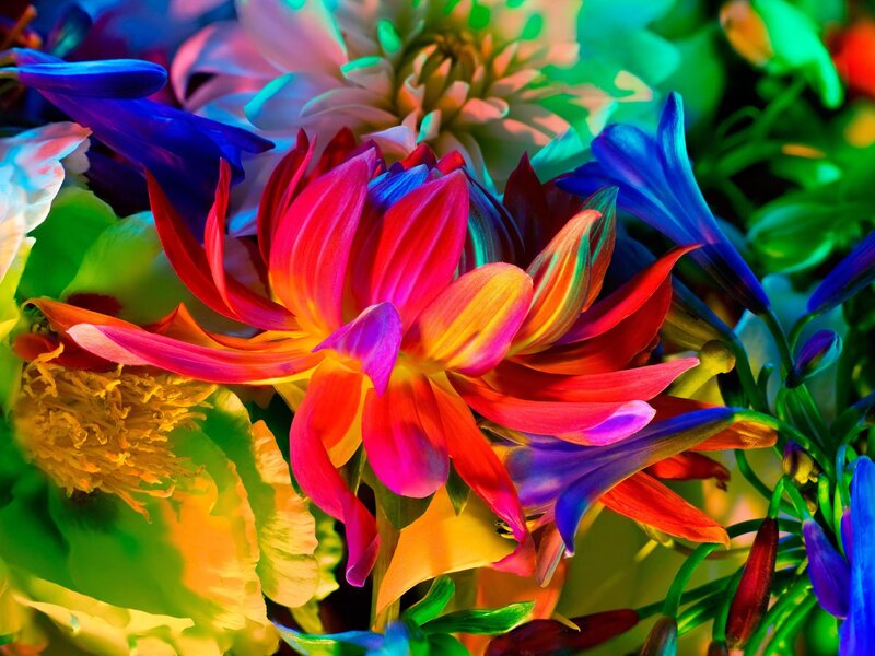 Torkil Gudnason, ‘Electric Blossom #363’, 2012, Photography, Archival Pigment Print, Fahey/Klein Gallery