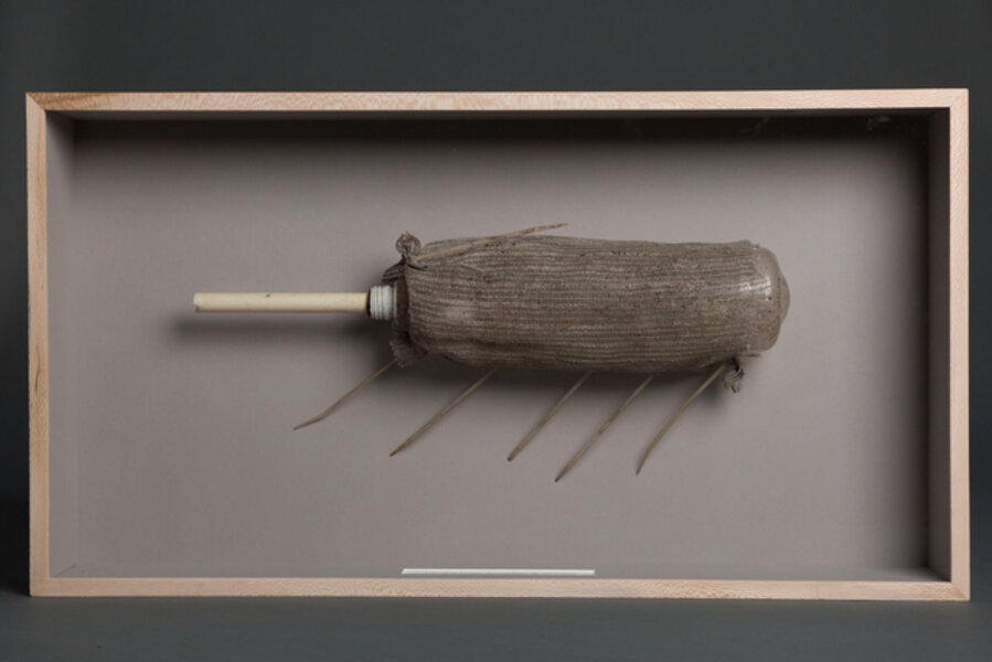 Fossilium Ventus Stomachum-IV