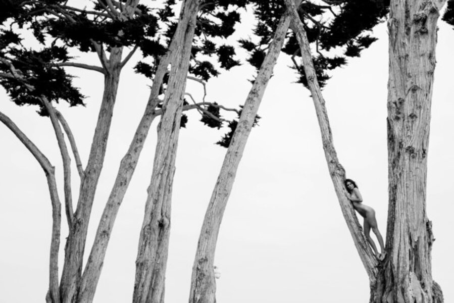 Kendall in Treetops (Kendall Jenner)