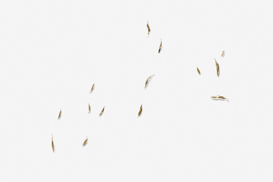 Loose leaves # 06