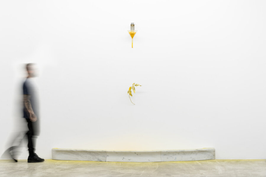 Fonte, from Maquinamata series