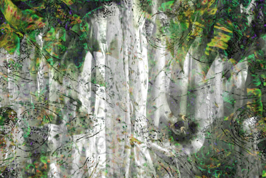 Biophilia 3