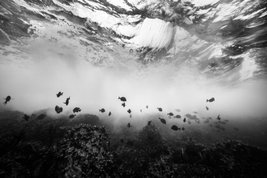 The Space Between