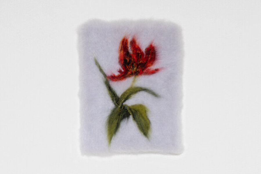 Fire tulip