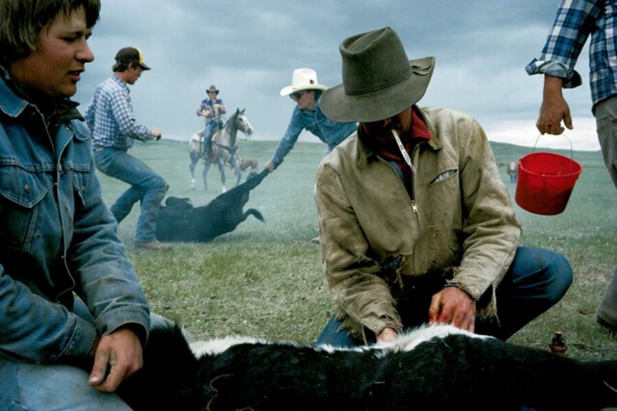 Branding - Montana, 1984