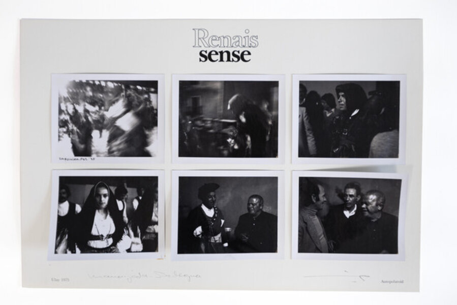Untitled (from the series "Renais sense")