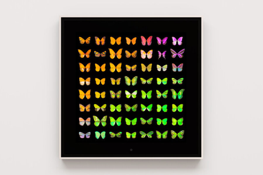 Metamorphosis: Unseen