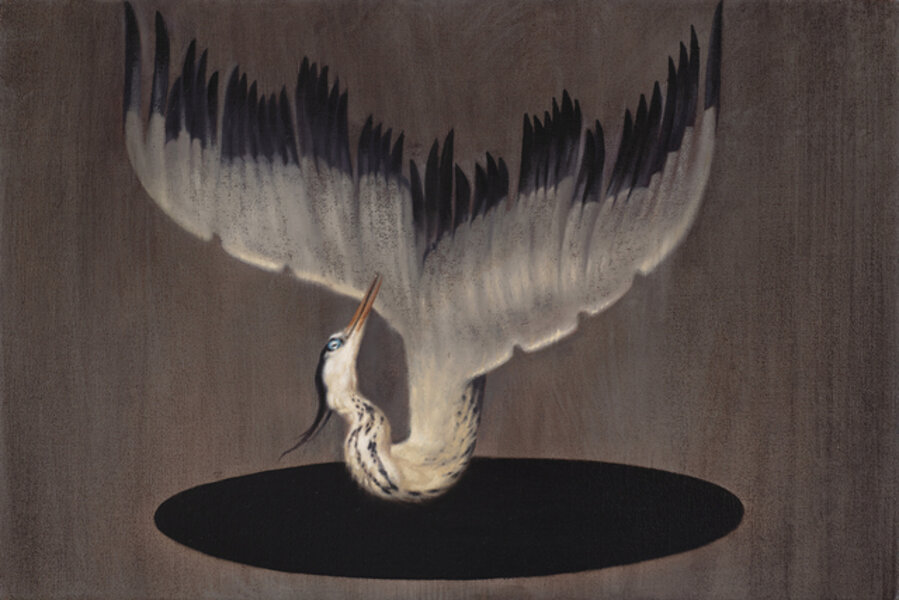 Swiftly, Wings Outspread
