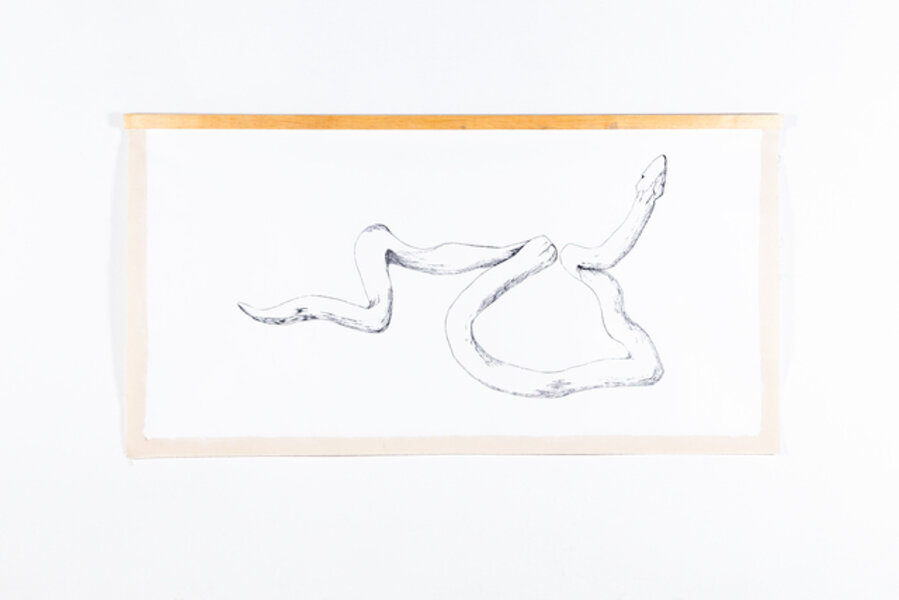 Serpiente de raíz