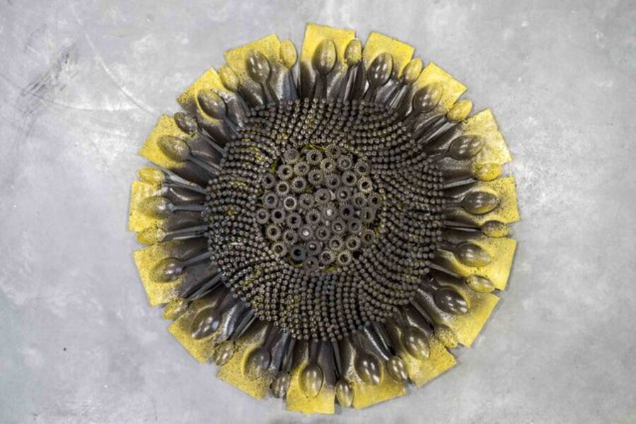 Small Sunflower II