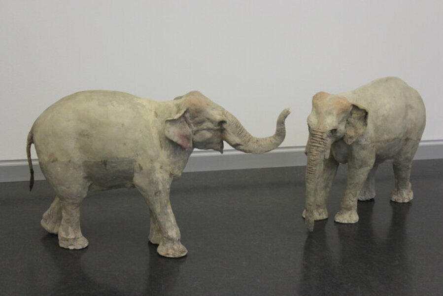Tiepolo's Elephants