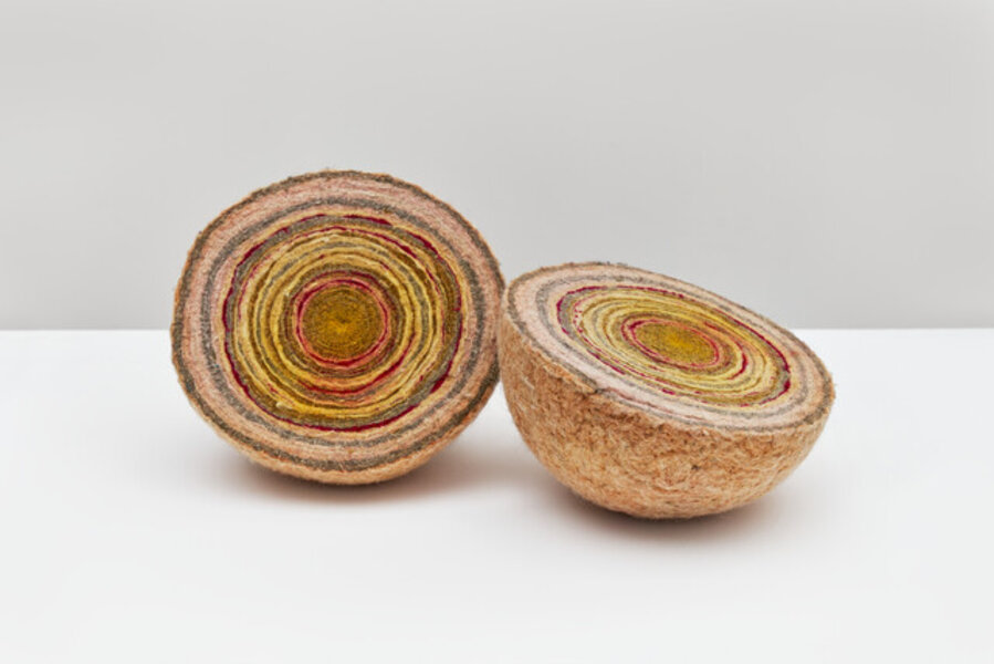 Seed