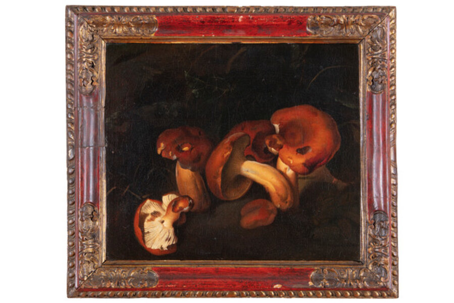 Still life with mushrooms