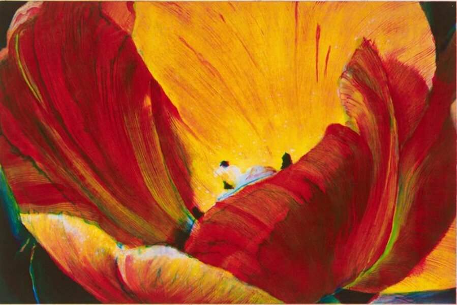 'Golden Tulip'