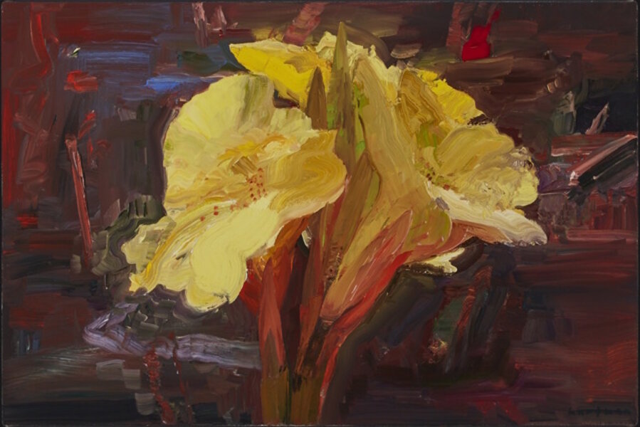Yellow Lily in Denman's Garden