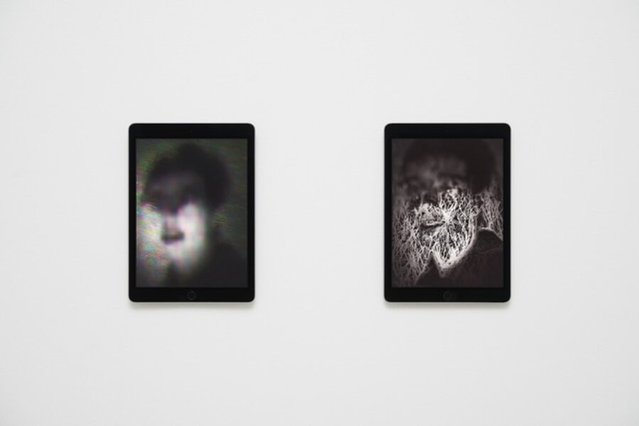 Portraits, Shown on Two Apple iPad Air 2s