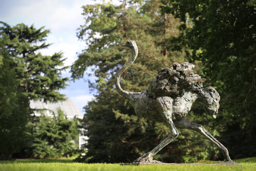 Lifesize Running Ostrich