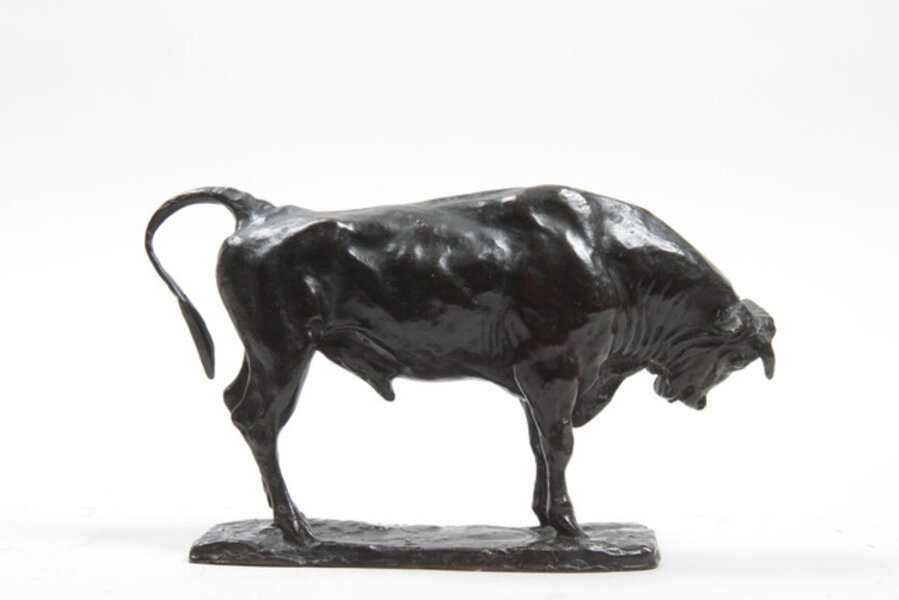 Bull