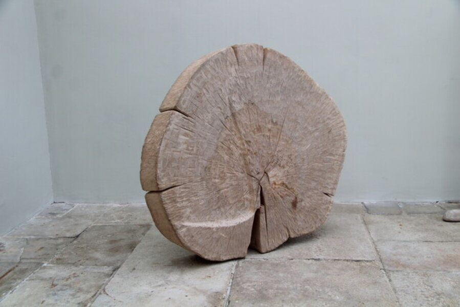 Disc