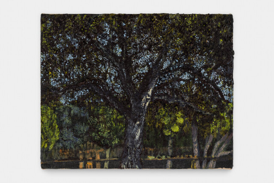 Park Oak