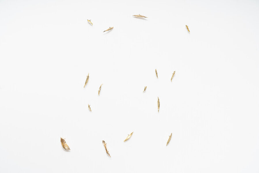 Loose leaves